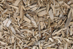biomass boilers Fordwich